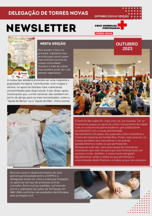 Newsletter - 6ª edição